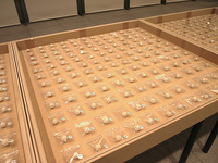 奈良県立図書情報館　展示会　展示台　木製台